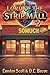 Lord of the Strip Mall 2 by Landon Scott