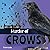 Murder of Crows (Animal Clans)