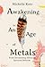 Awakening in An Age of Metals: From Devastating Illness to Spiritual Rebirth