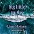 Big Little Truths (Big Little Lies, #2)