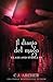 Il diario del mago (Glass and Steele - Italiano) (Italian Edition)