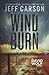 Wind Burn (David Wolf Mystery Thriller Series)