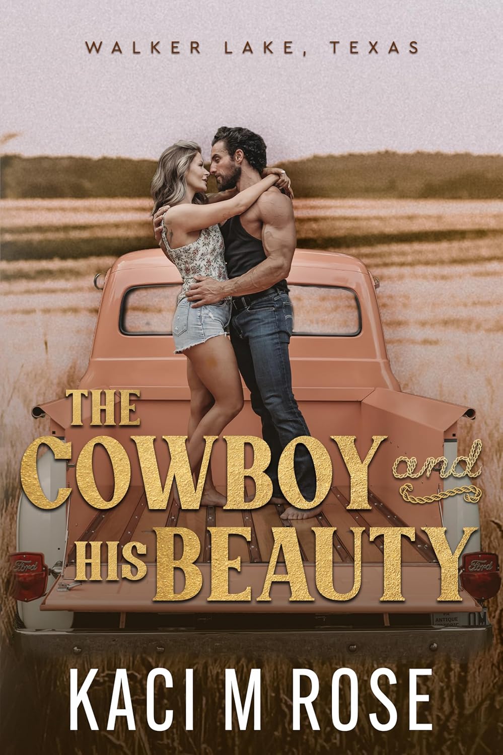 The Cowboy and His Beauty (Walker Lake, Texas #1)