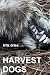 Harvest Dogs by Fritz Dries