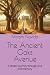 The Ancient Oaks Avenue by Miriam Novida