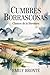 Cumbres borrascosas: Clásicos de la literatura (Spanish Edition)