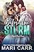Before the Storm by Mari Carr
