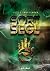 Sort Segl