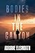 Bodies in the Canyon (Grand Canyon Thrillers Book 1)