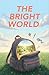 The Bright World by Matt Miller