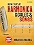 How to Play Harmonica, Scal...