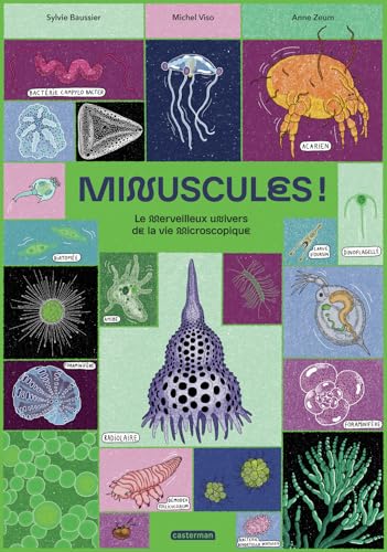 Minuscules !: Le merveilleux univers de la vie microscopique (Paperback)