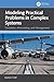 Modeling Practical Problems in Complex Systems: Simulation, Forecasting, and Management