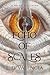 Echo of Scales (A Paladin's...