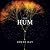 The Hum