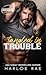 Tangled in Trouble by Harloe Rae