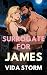 Surrogate for James (The Fa...