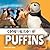 Congregation of Puffins (Animal Clans)