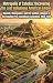 Metropolis of Cahokia: Unco...