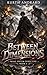 Between Dimensions: A Litrp...