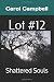 Lot #12