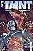 TMNT: Journeys #9