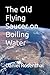 The Old Flying Saucer on Bo...