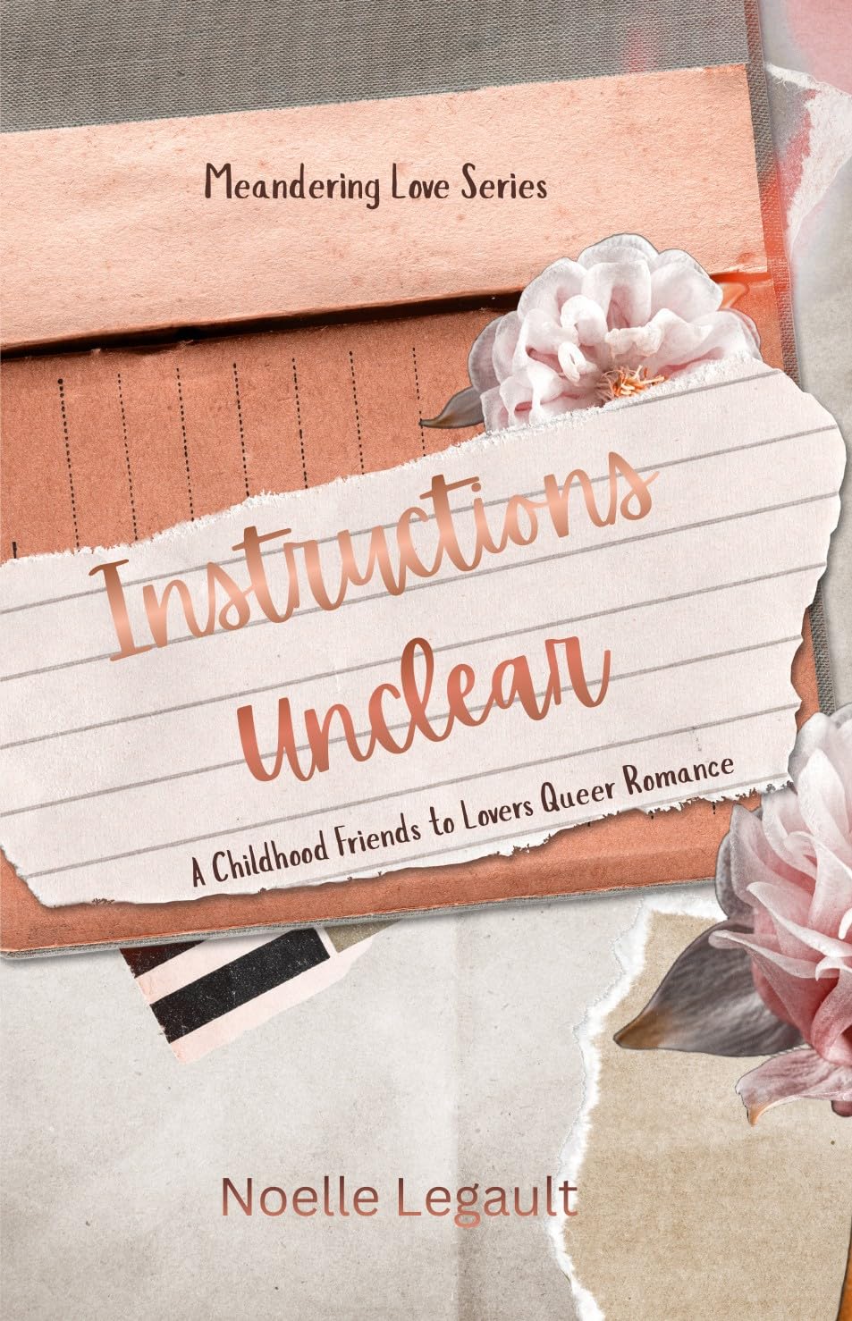 Instructions Unclear: A friends to lovers queer romance. (Meandering Love Book 1)