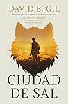 Ciudad de sal