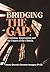 Bridging the Gap by Amatu Onundu Christian-Iwuagwu