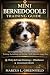 MINI BERNEDOODLE TRAINING G...