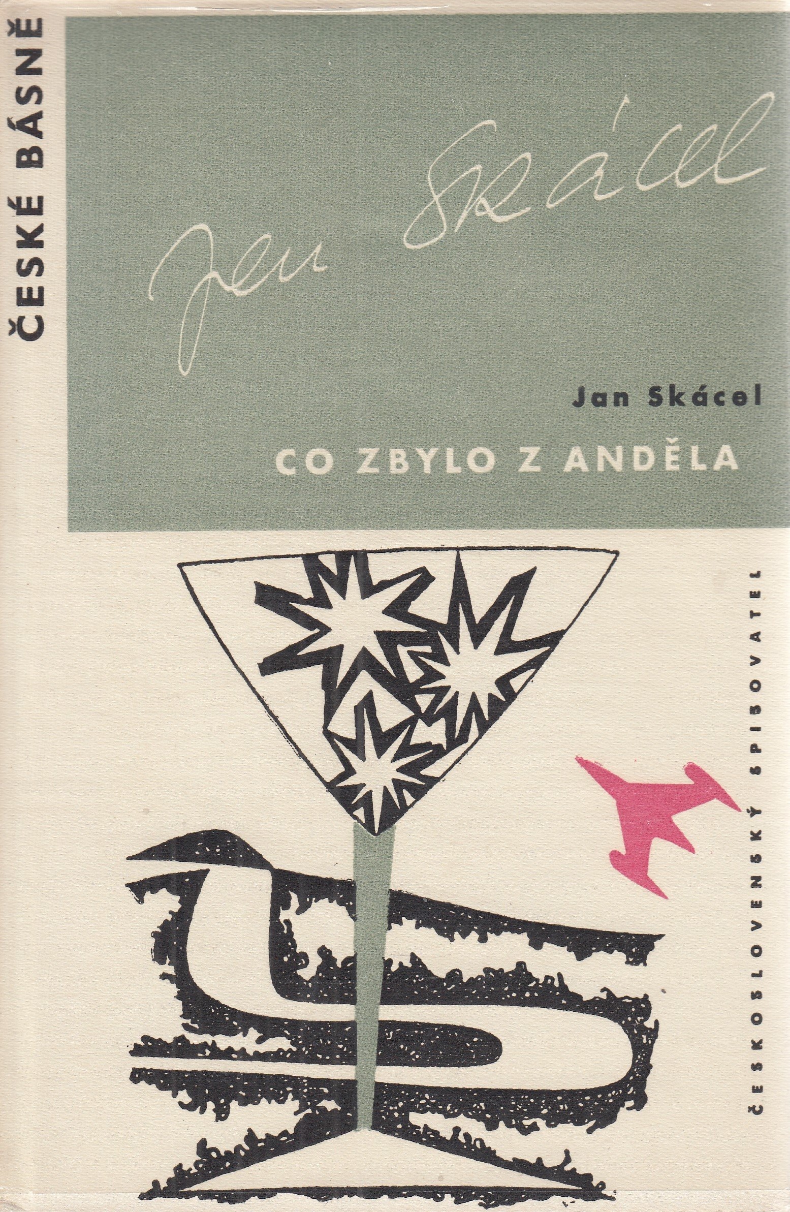 Co zbylo z anděla (Hardcover)