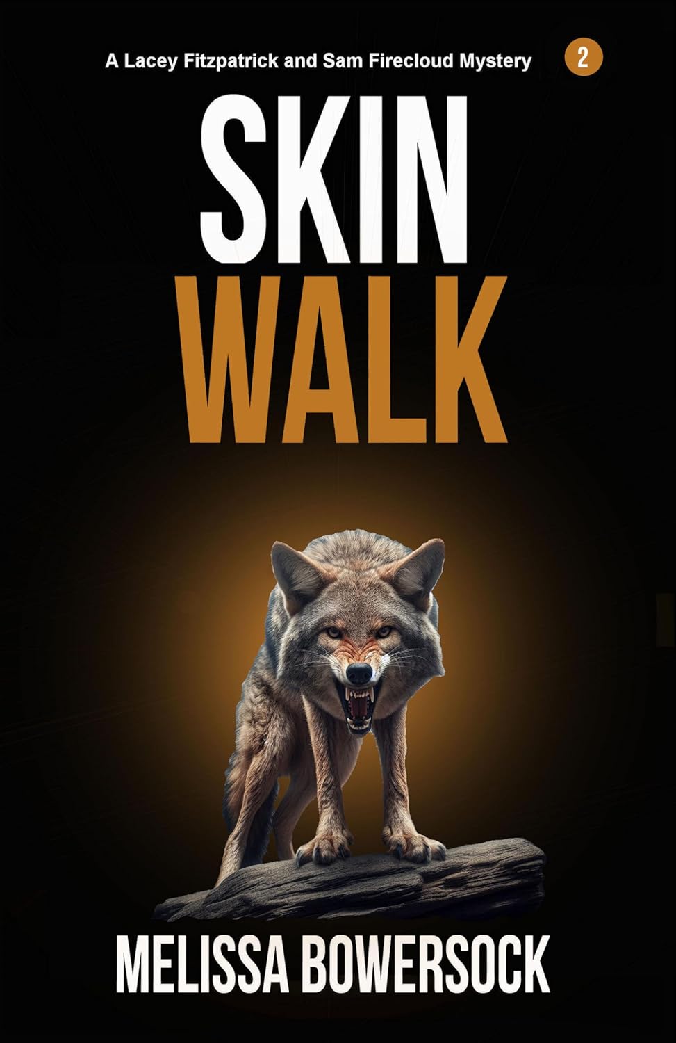 Skin Walk (Lacey Fitzpatrick and Sam Firecloud Mystery #2)