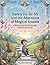 Danny Do-Re-Mi and the Adventure of Magical Sounds by Julia Spring