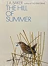 The Hill of Summer