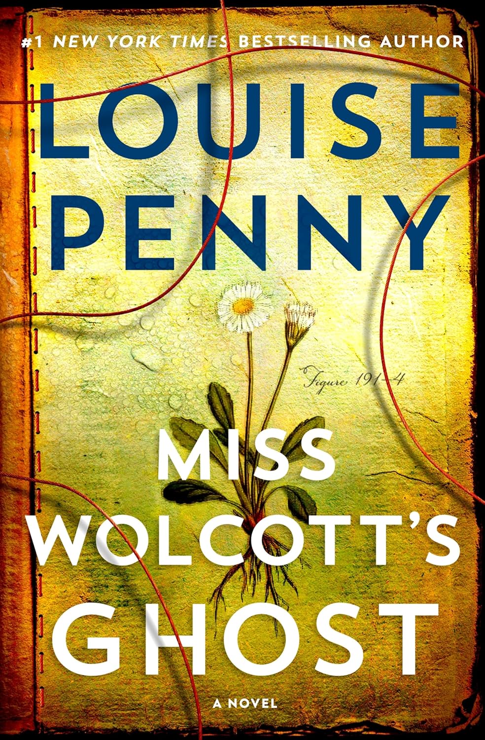 Miss Wolcott's Ghost (Chief Inspector Armand Gamache, #21)