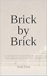 Brick by Brick: A Decade of Conviction in One of the World’s Most Volatile Stocks Book cover for Brick by Brick: A Decade of Conviction in One of the World’s Most Volatile Stocks