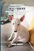 Living with a Bull Terrier:...