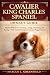 CAVALIER KING CHARLES SPANI...