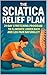 The Sciatica Relief Plan by Lucie Anderson