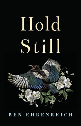 Hold Still (Paperback)