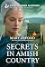 Secrets in Amish Country