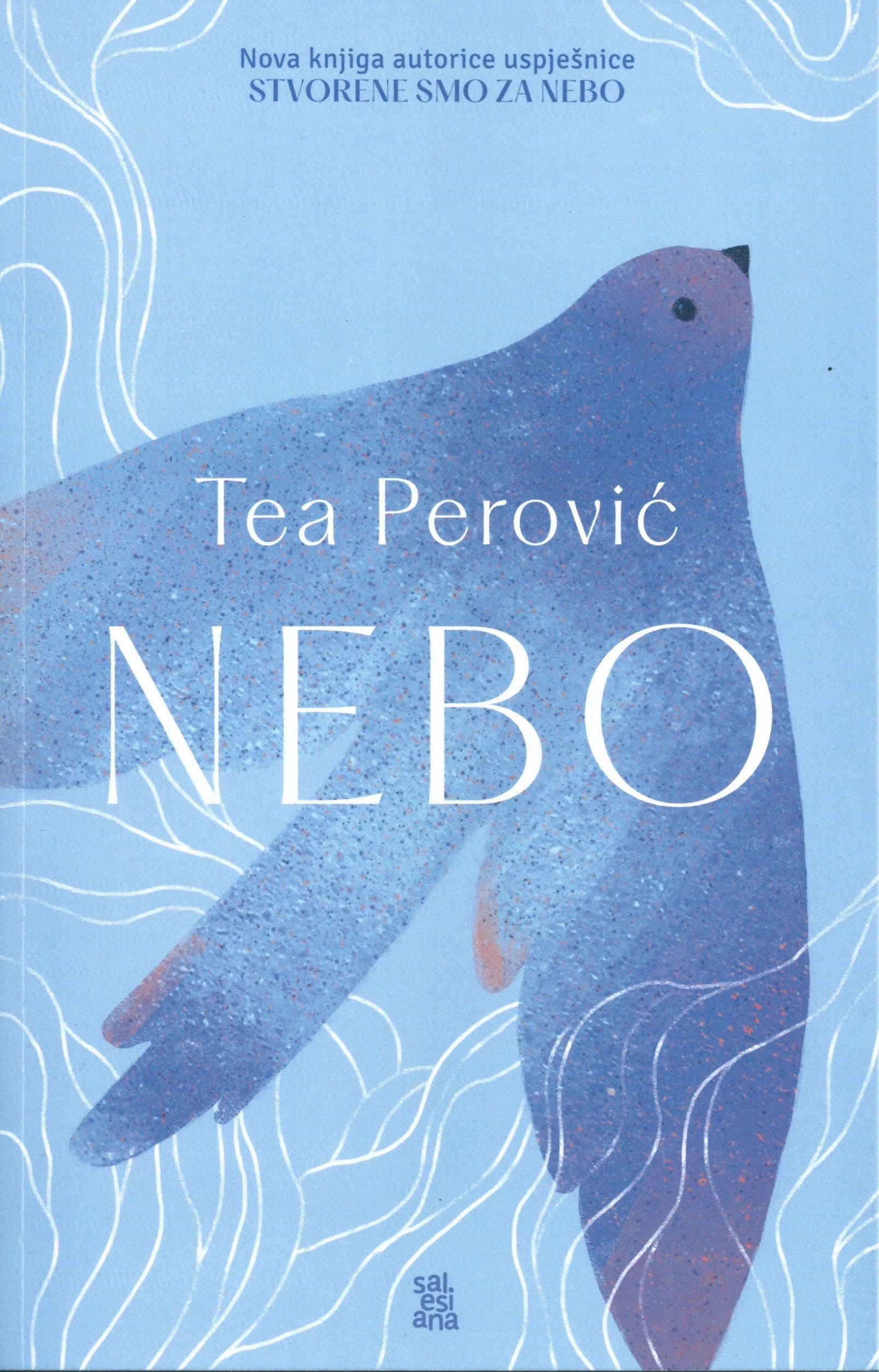 Nebo (Paperback)