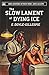 The Slow Lament of Dying Ice