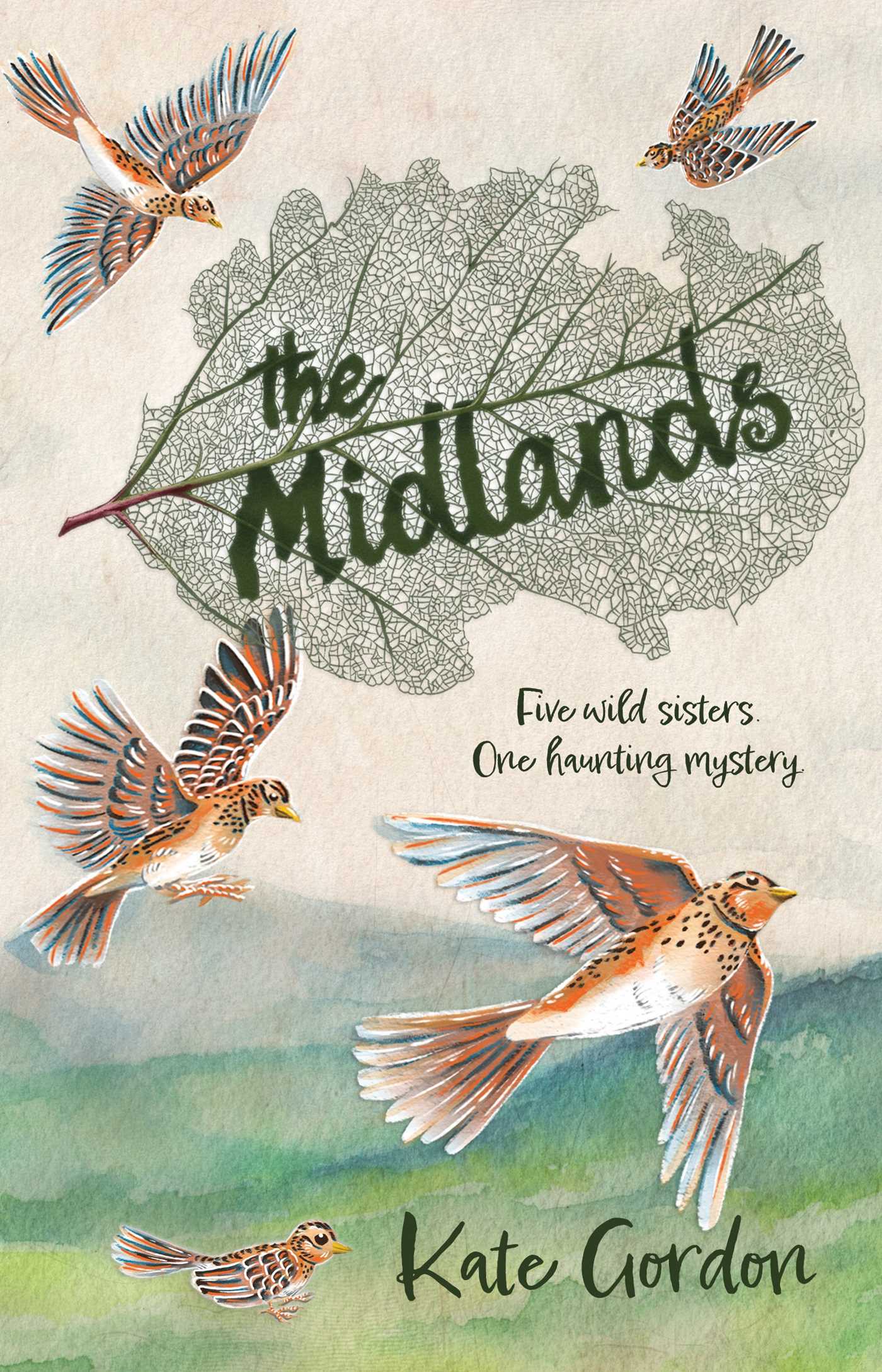 The Midlands (Paperback)