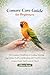 Conure Care Guide for Begin...