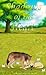Shadows of the Heart (Wolf's Compass #3)