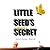 Little Seed's Secret: A Tin...