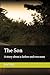 The Son: A story about a fa...
