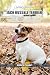 Living with a Jack Russell Terrier by Poppy Clark
